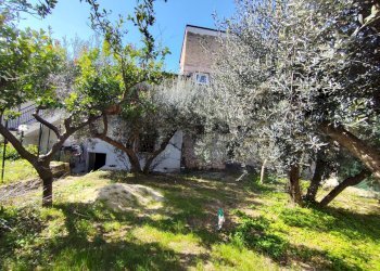 Giardino - Appartamento Castelforte - foto 8