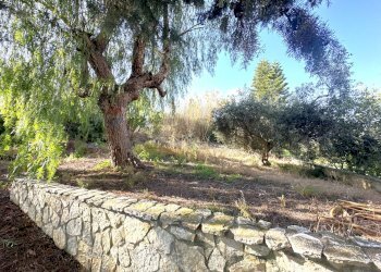 Giardino - Villa contrada accia
69, Santa Flavia - photo 40