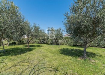 Foto 43 - Villa Viale Marche
27, Riccione - photo 43