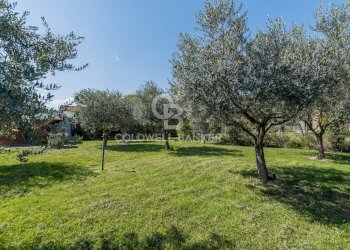 Foto 44 - Villa Viale Marche
27, Riccione - photo 44