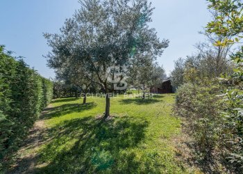 Foto 46 - Villa Viale Marche
27, Riccione - photo 46