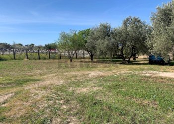 Giardino - Terreno edificabile via Pozzallesi d'America, Pozzallo - foto 3