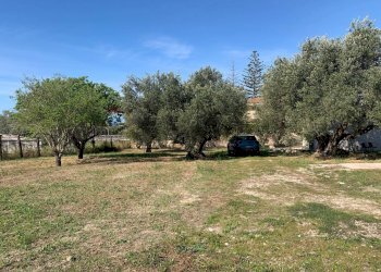 Giardino - Terreno edificabile via Pozzallesi d'America, Pozzallo - foto 10