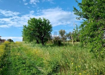 Giardino - Terreno edificabile via Pozzallesi d'America, Pozzallo - foto 5