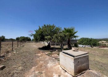 Giardino - Villa Contrada Guadagna, Scicli - photo 28