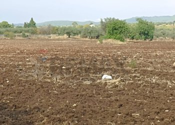 Vista delle montagne - Rustic Chiaramonte Gulfi - photo 16