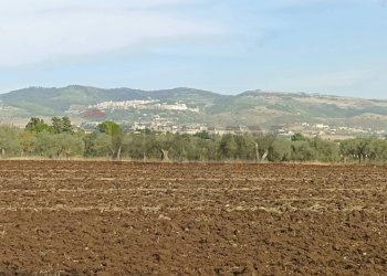 Vista delle montagne - Rustic Chiaramonte Gulfi - photo 17