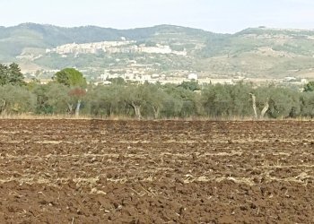 Vista delle montagne - Rustic Chiaramonte Gulfi - photo 18