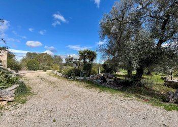 Giardino - Baita Contrada Genovese
 
snc, Ceglie Messapica - foto 15