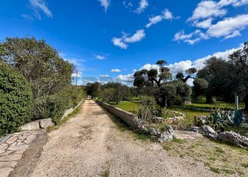 Vista delle montagne - Baita Contrada Genovese
 
snc, Ceglie Messapica - foto 27