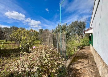 Giardino - Baita Contrada Genovese
 
snc, Ceglie Messapica - foto 30