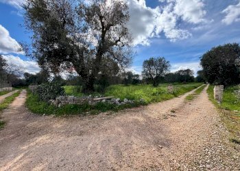 Giardino - Baita Contrada Genovese
 
snc, Ceglie Messapica - foto 31