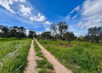 Giardino - Baita Contrada Genovese
 
snc, Ceglie Messapica - foto 32