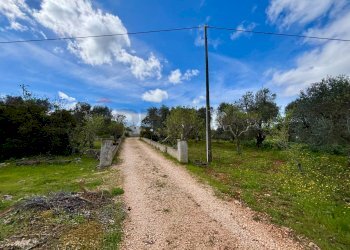 Giardino - Baita Contrada Genovese
 
snc, Ceglie Messapica - foto 33