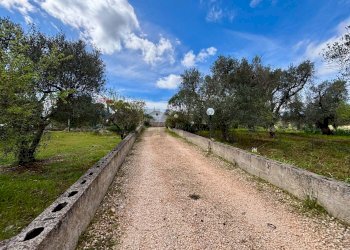 Giardino - Baita Contrada Genovese
 
snc, Ceglie Messapica - foto 34