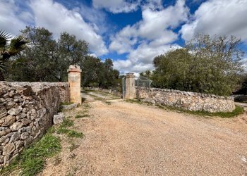 Giardino - Baita Contrada Genovese
 
snc, Ceglie Messapica - foto 35
