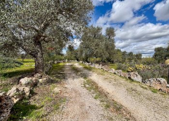 Giardino - Baita Contrada Genovese
 
snc, Ceglie Messapica - foto 36