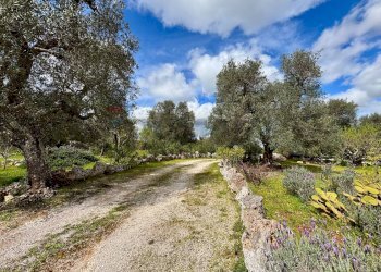 Giardino - Baita Contrada Genovese
 
snc, Ceglie Messapica - foto 37
