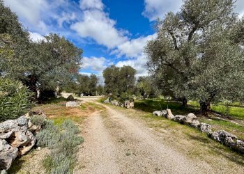 Giardino - Baita Contrada Genovese
 
snc, Ceglie Messapica - foto 38