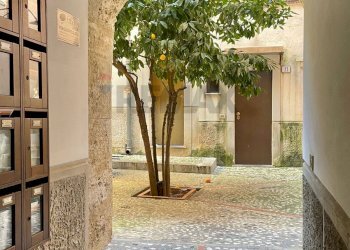 Terrazza - Monolocale Cortile Del Musico
 
6, Palermo - foto 6