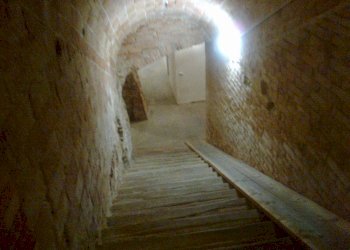 Foto 6 - Trilocale Via Firenze
 
00, Faenza - foto 6