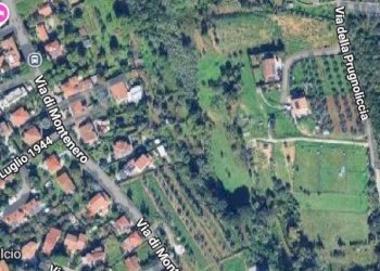 Foto 1 - Casa indipendente Via Della Prugnoliccia, Livorno - foto 1