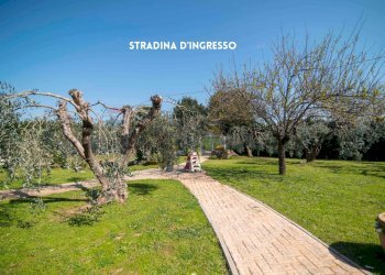 Giardino - Casa indipendente STRADA DELLE SELVACCE
 
41, Roccastrada - foto 5