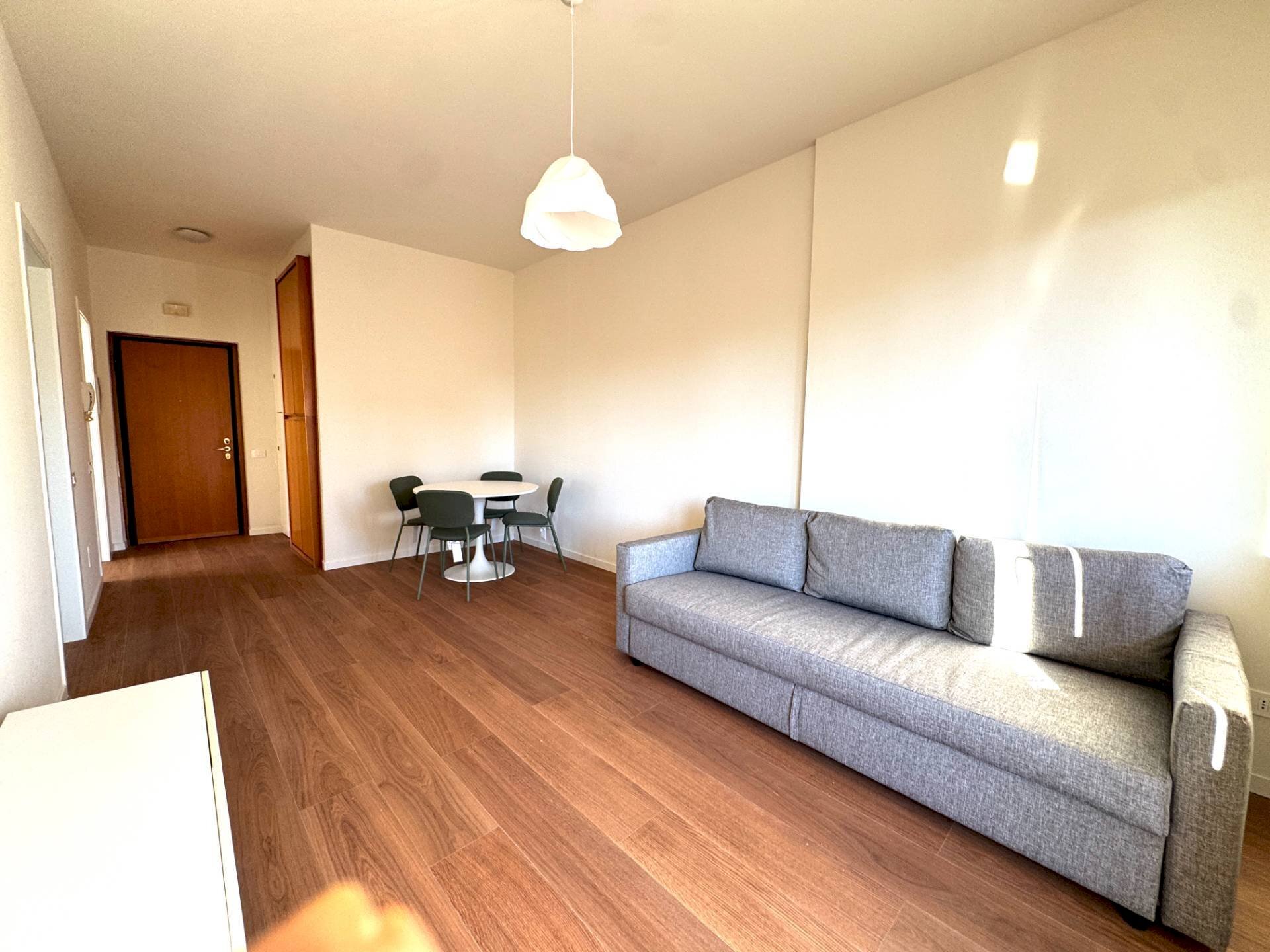 SOGGIORNO - Bilocale VIALE FULVIO TESTI
 
90, Milano - foto 3