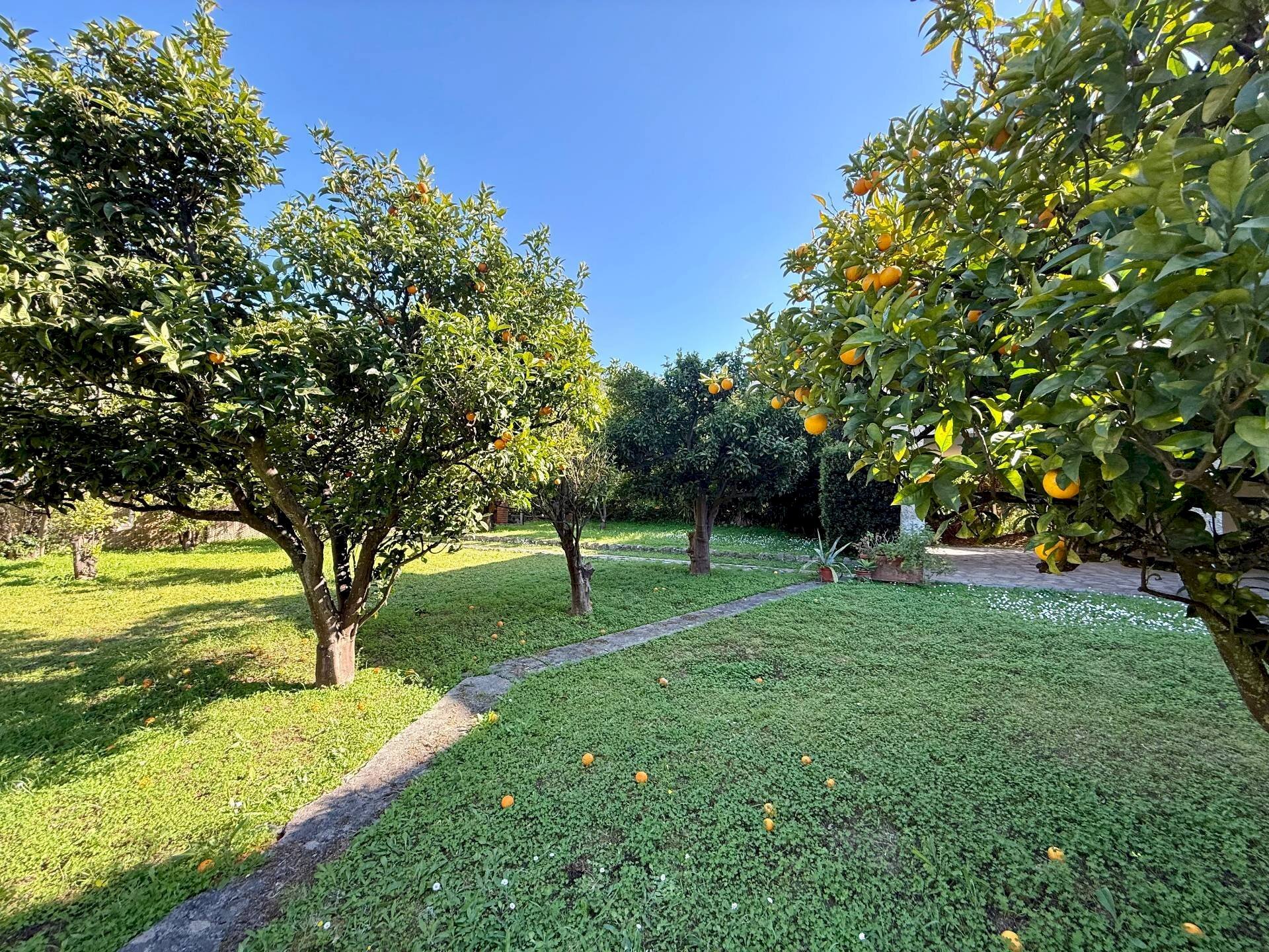 Foto 2 - Villa Monte Argentario - foto 2