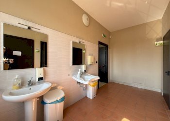 Foto 11 - Stable - Palace viale Magna Grecia
215, Catanzaro - photo 11