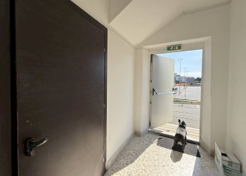 Foto 15 - Stable - Palace viale Magna Grecia
215, Catanzaro - photo 15