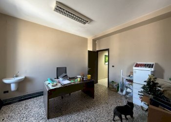 Foto 22 - Stable - Palace viale Magna Grecia
215, Catanzaro - photo 22