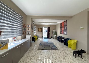 Foto 24 - Stable - Palace viale Magna Grecia
215, Catanzaro - photo 24