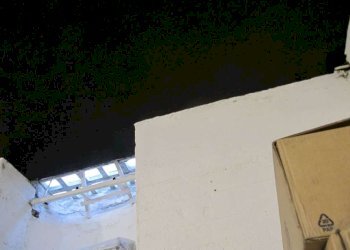 IMG_2913 - Shop corso UMBRIA, Torino (neighborhood San Donato) - photo 20