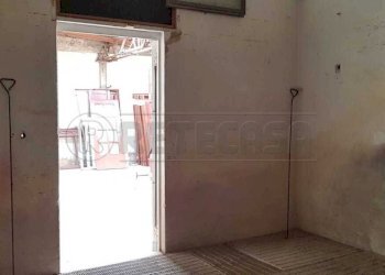 1 (26).jpeg - Magazzino Via Busacca 5, Marcianise - foto 16