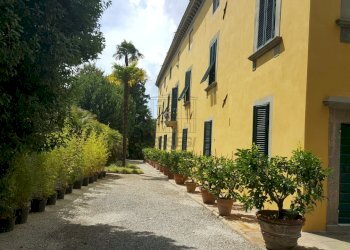 vendesi villa storic con parco piscina annessi Luc - Villa Lucca - foto 2