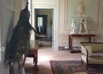 vendesi villa storic con parco piscina annessi Luc - Villa Lucca - foto 10