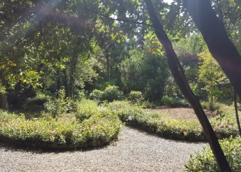 vendesi villa storic con parco piscina annessi Luc - Villa Lucca - foto 13