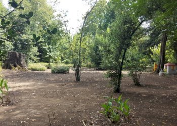 vendesi villa storic con parco piscina annessi Luc - Villa Lucca - foto 18