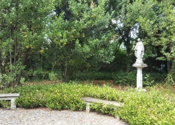 vendesi villa storic con parco piscina annessi Luc - Villa Lucca - foto 19