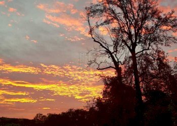 b7a161dd-fc8b-484c-81c6-921c49a68ee4.jpg - Villa Lucca - foto 20