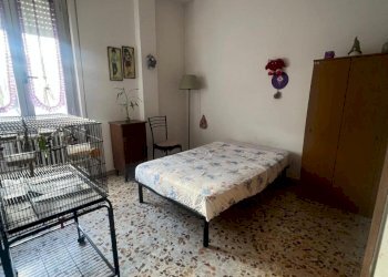 WhatsApp Image 2026-03-03 at 16.34.24.jpeg - Quadrilocale Via Carlo del Greco, Firenze (zona Santa Maria Novella) - foto 4