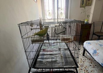 WhatsApp Image 2026-03-30 at 16.47.02 (1).jpeg - Quadrilocale Via Carlo del Greco, Firenze (zona Santa Maria Novella) - foto 14