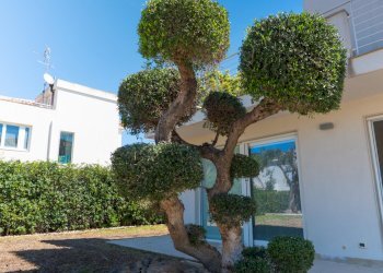 DSC01569.jpg - Villa Via dell'Airone 3, Siracusa - foto 2