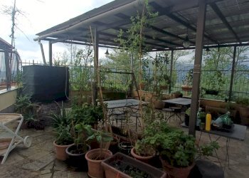 IMG20240925163402.jpg - Independent house Salita al Garbo 39A, Genova - photo 6