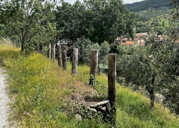 IMG_1524.JPG - Apartment Via Baccio 8, Vaiano - photo 17