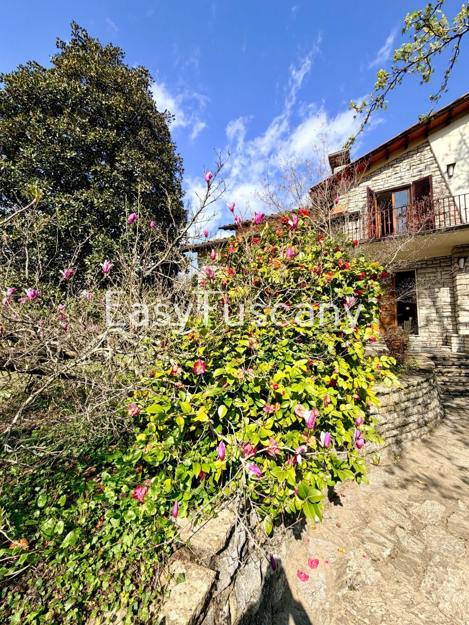 image00002.jpeg - Villa Piazza Domenico Martini 16C, Borgo a Mozzano - foto 2