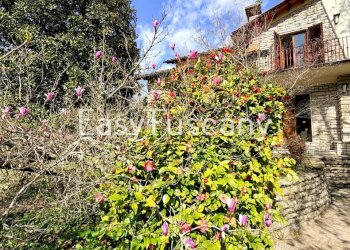image00002.jpeg - Villa Piazza Domenico Martini 16C, Borgo a Mozzano - foto 2