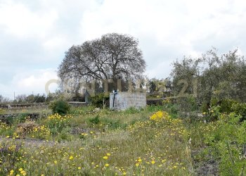 DJI_20260326104113_0008_D.JPG - Terreno agricolo Contrada malvezzaro, Santa Maria di Licodia - foto 7