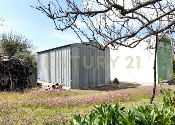 DJI_20260326104404_0009_D.JPG - Terreno agricolo Contrada malvezzaro, Santa Maria di Licodia - foto 8